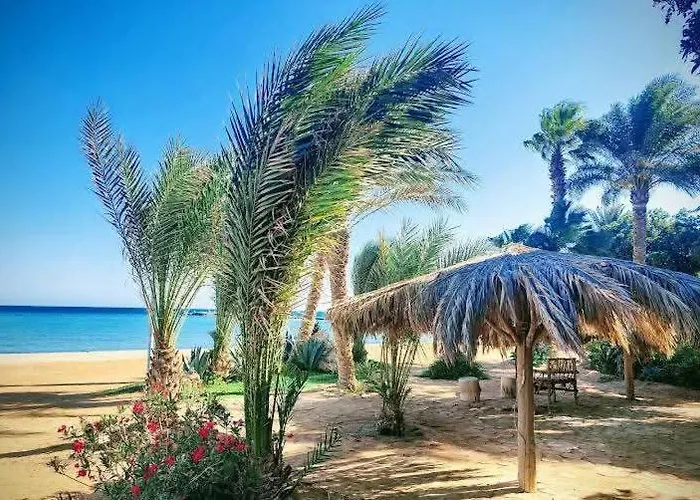 In Turtels الغردقة