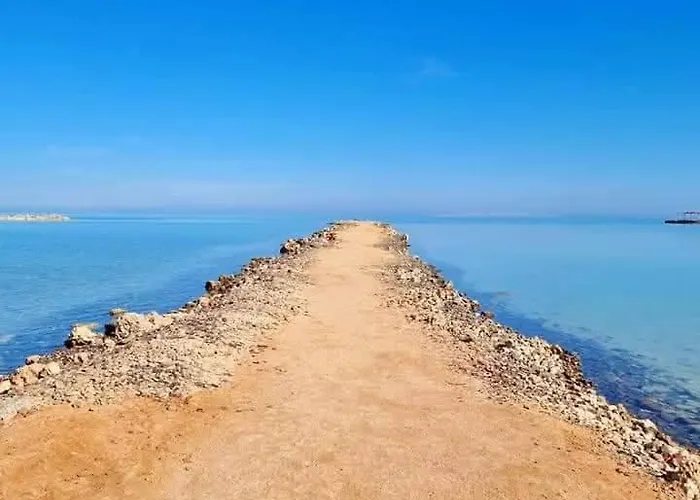 In Turtels *